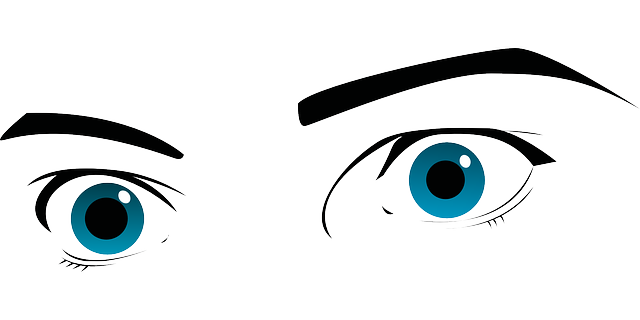 the observer's eyes