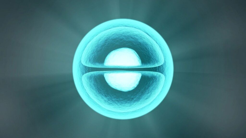 Molecule Symmetry