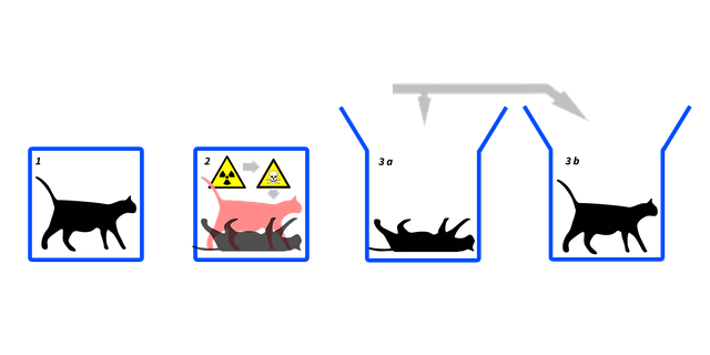 schrodinger cat experiment